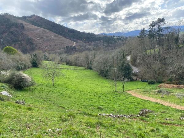 Casa independiente en Arriondas - Sinariega