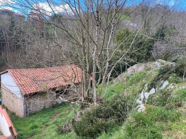 Casa independiente en Arriondas - Sinariega