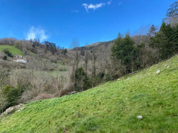 Casa independiente en Arriondas - Sinariega