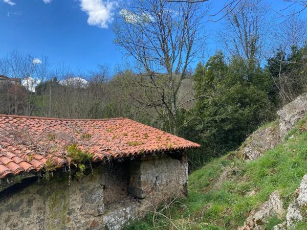 Casa independiente en Arriondas - Sinariega