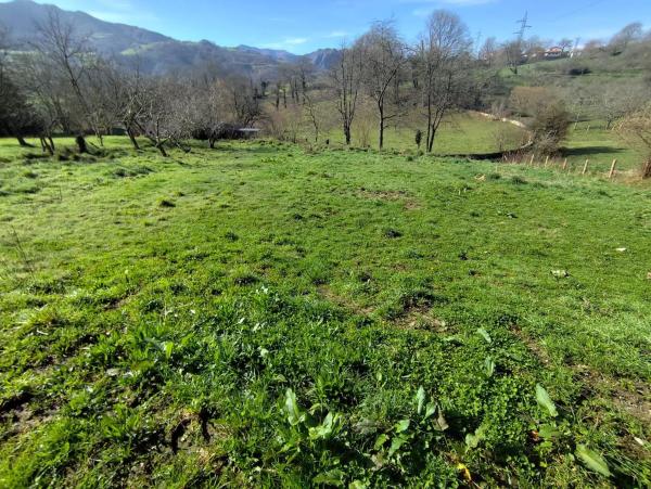 Casa de pueblo en Lugar Prunales, 5