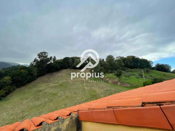 Casa independiente en Lugar Junco