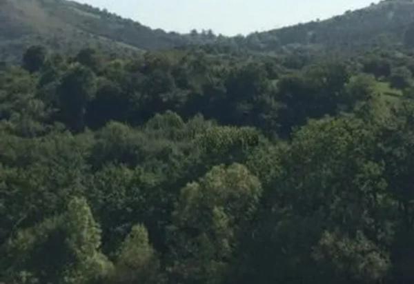 Caserón en Barrio de la concha cimiamo