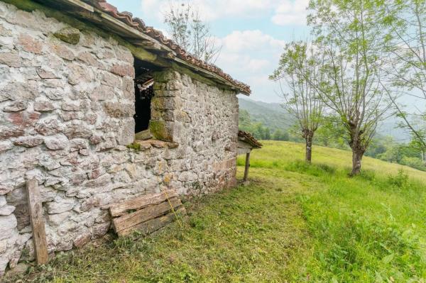 Finca rústica en Lugar Covadonga s/n