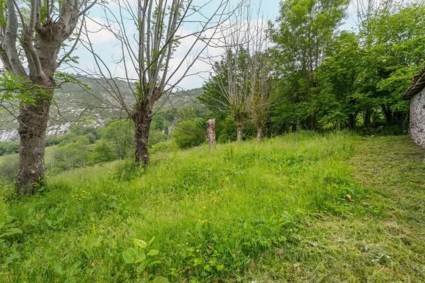 Finca rústica en Lugar Covadonga s/n