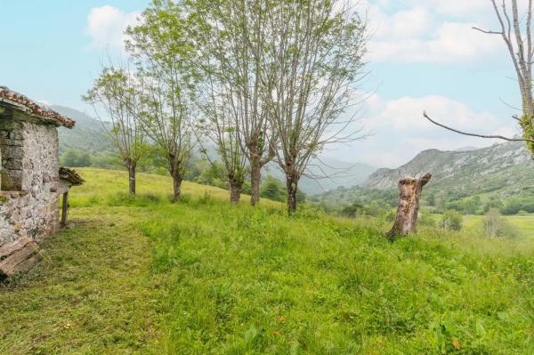 Finca rústica en Lugar Covadonga s/n