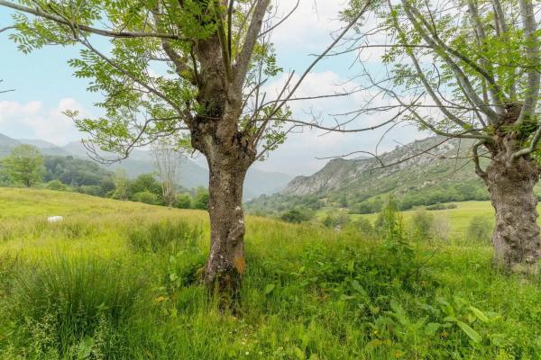 Finca rústica en Lugar Covadonga s/n