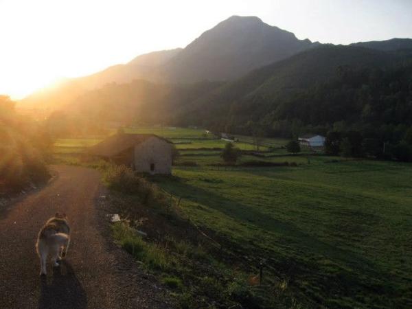 Casa independiente en camino Ardisana, 1