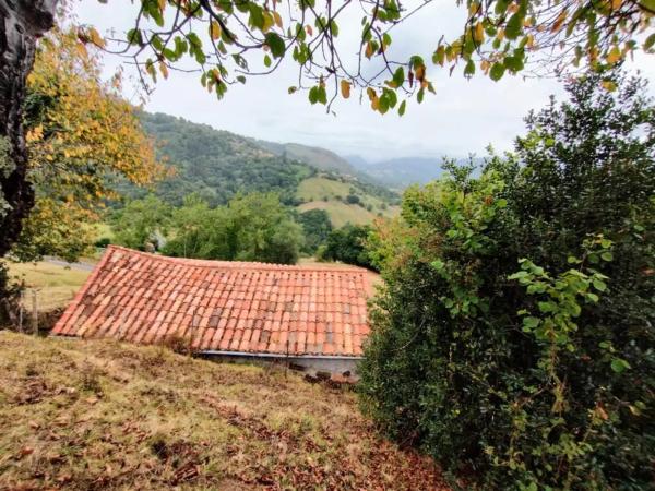 Finca rústica en As-259 s/n