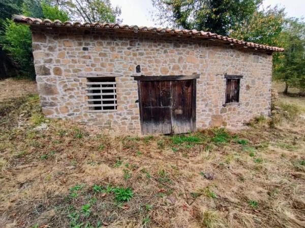 Finca rústica en As-259 s/n