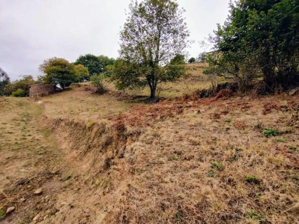 Finca rústica en As-259 s/n