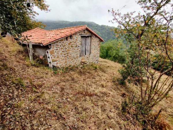 Finca rústica en As-259 s/n