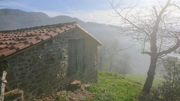 Finca rústica en As-259 s/n