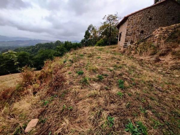 Finca rústica en As-259 s/n