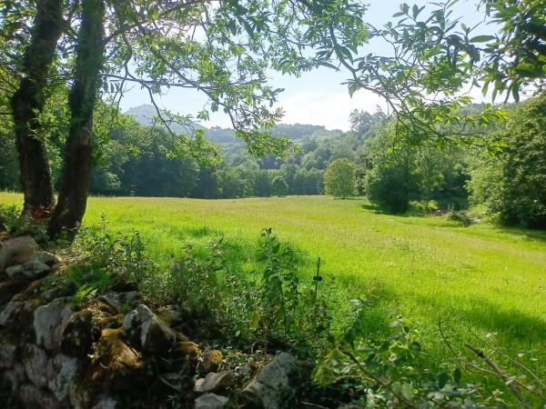 Casa terrera en La Huera de Meres