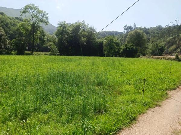 Casa terrera en La Huera de Meres