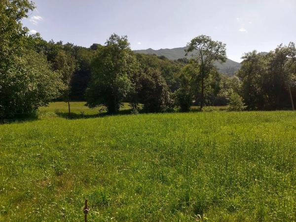 Casa terrera en La Huera de Meres