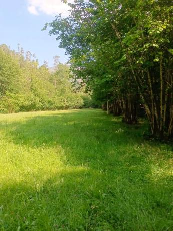 Casa terrera en La Huera de Meres