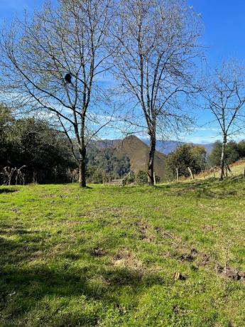 Casa rural en calle Oriente s/n Asturias