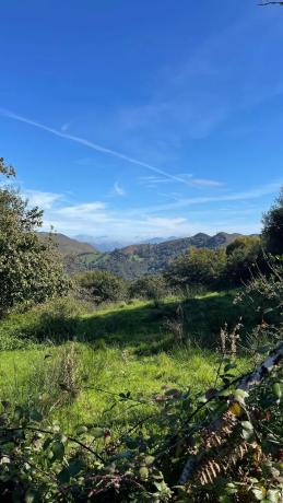 Casa rural en calle Oriente s/n Asturias