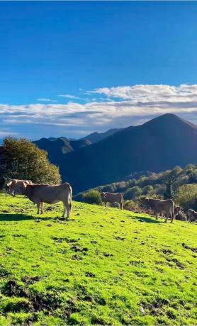 Casa rural en calle Oriente s/n Asturias