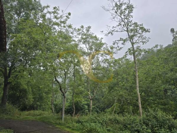 Casa independiente en Lugar Santoveña