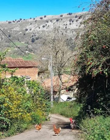 Casa de pueblo en Buda