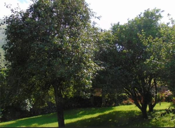 Casa independiente en Lledias