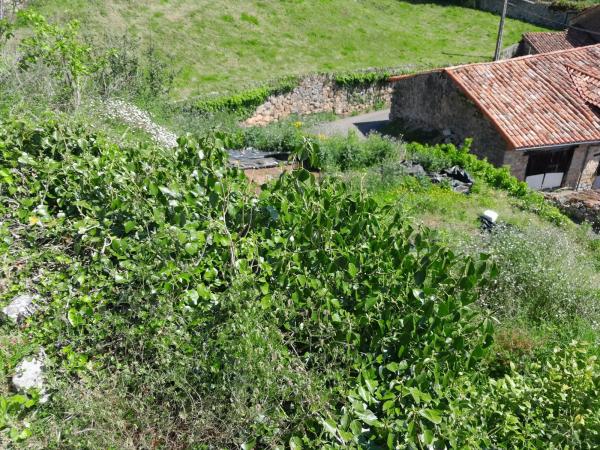 Casa de pueblo en Lugar Alevia, 147