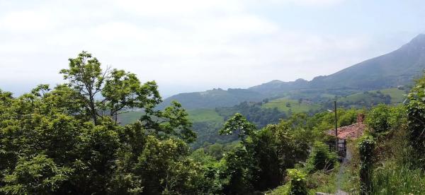 Casa de pueblo en Aldea Cofiño