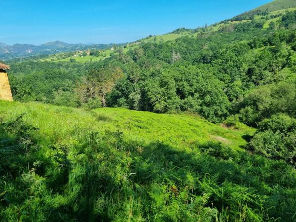 Finca rústica en Caldevilla s/n