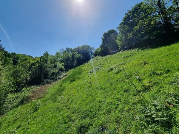 Finca rústica en Caldevilla s/n