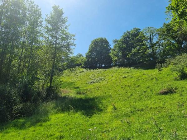 Finca rústica en Caldevilla s/n