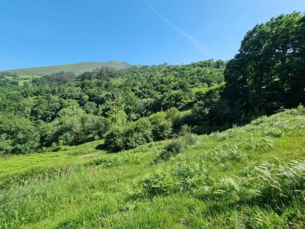 Finca rústica en Caldevilla s/n