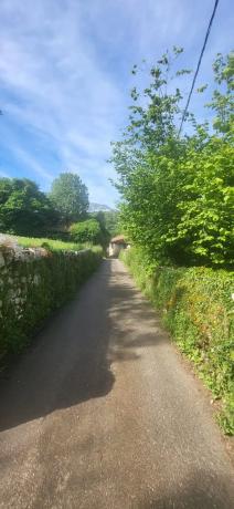Finca rústica en Lugar Puertas, 117