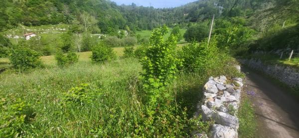 Finca rústica en Lugar Puertas, 117