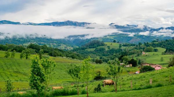 Casa independiente en Hueges s/n