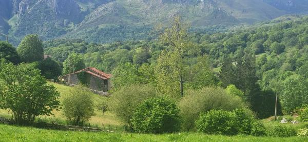 Finca rústica en Lugar Puertas, 179