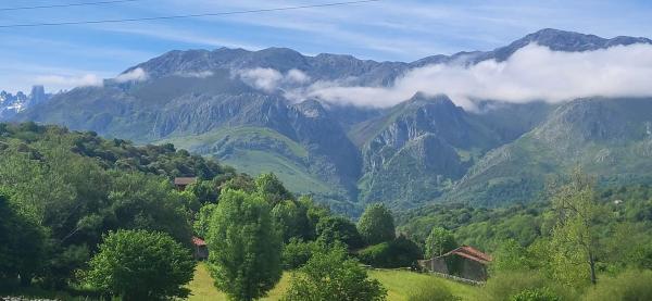 Finca rústica en Lugar Puertas, 179