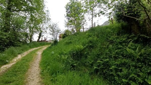 Finca rústica en Lugar Inguanzo