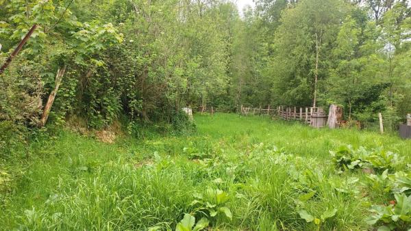 Finca rústica en Lugar Inguanzo