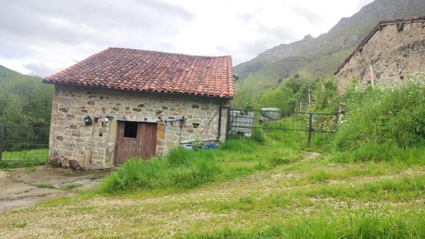 Finca rústica en Lugar Inguanzo