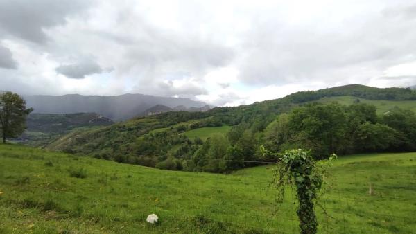 Finca rústica en Lugar Inguanzo