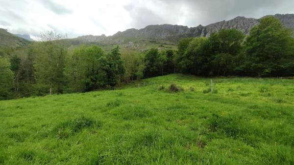 Finca rústica en Lugar Inguanzo