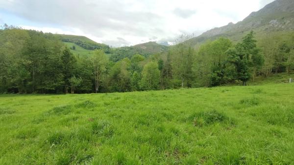 Finca rústica en Lugar Inguanzo