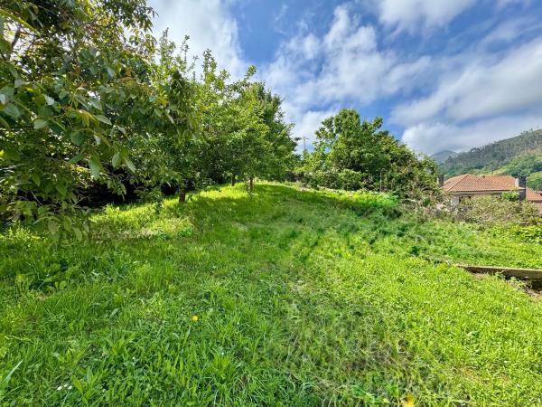 Casa independiente en calle Calzada de Ponga, 15