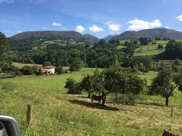 Palacio en Infiesto - Valles s/n