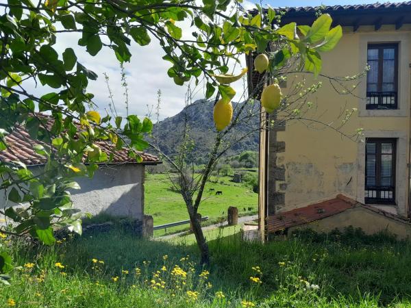 Casa independiente en Narganes