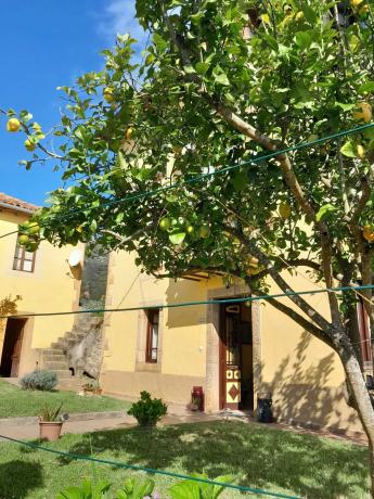 Casa independiente en Narganes