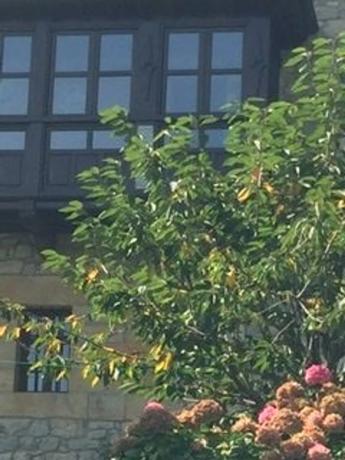 Casa de pueblo en Barrio de la Concha Cimiano s/n